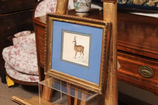 Giltwood Framed 19th Century French "Chamois" Drawing on Paper, by C Humbert 1847 - Image 14