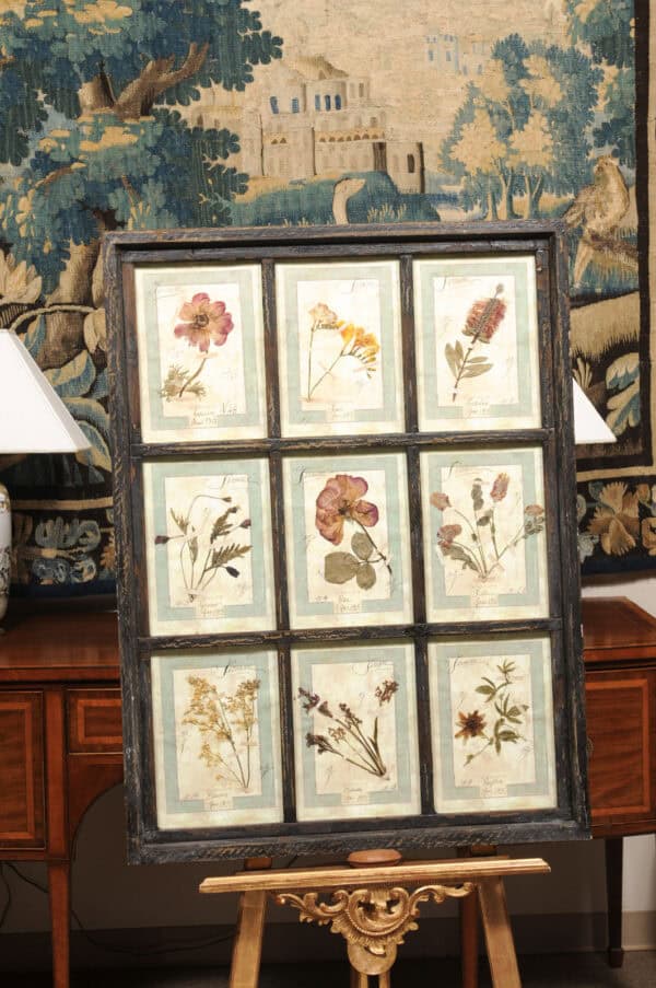 Set of 4 Large Framed French Botanical Collections. PRICED PER PAIR. - Image 4