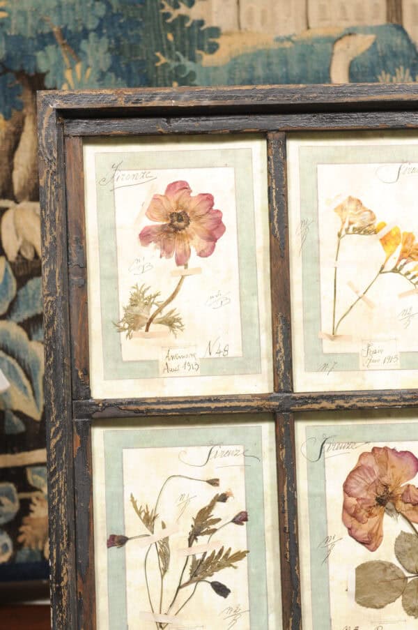 Set of 4 Large Framed French Botanical Collections. PRICED PER PAIR. - Image 5