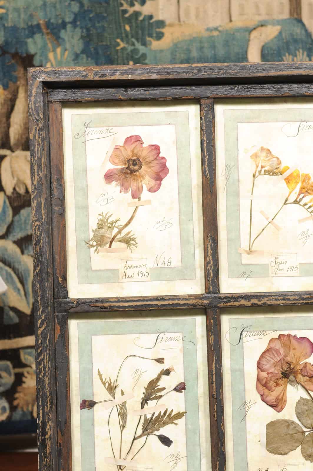 Set of 4 Large Framed French Botanical Collections. PRICED PER PAIR. - Image 5