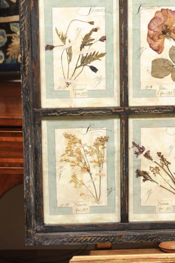 Set of 4 Large Framed French Botanical Collections. PRICED PER PAIR. - Image 6