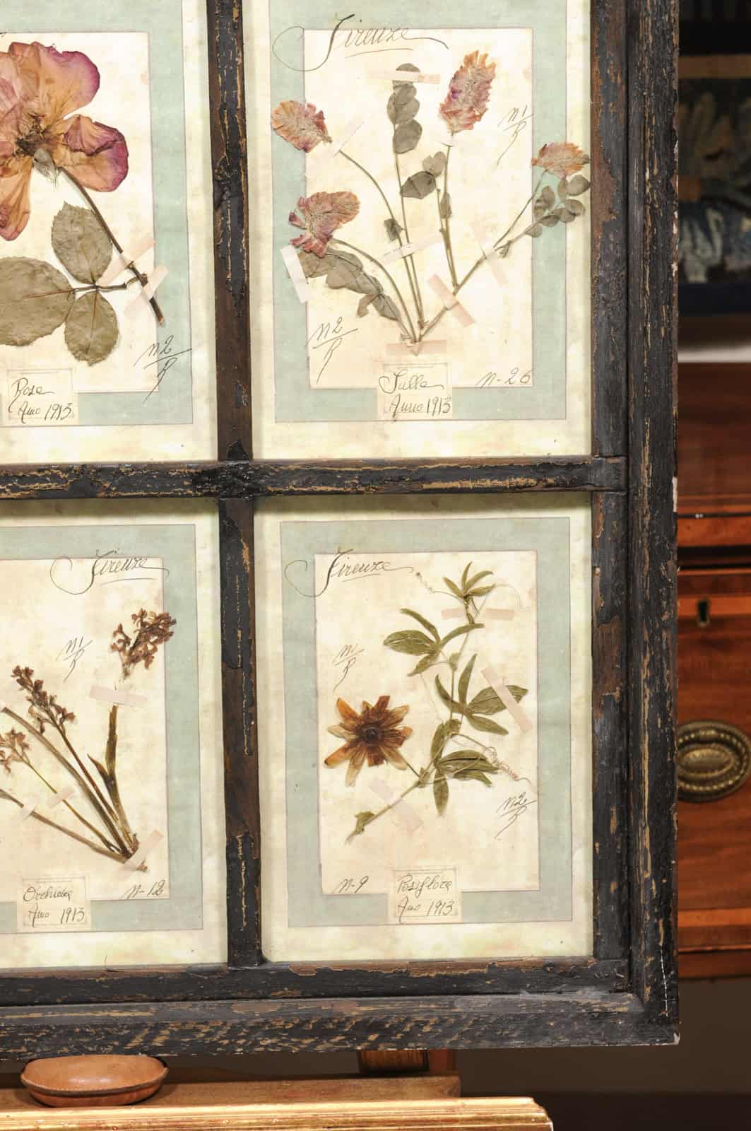 Set of 4 Large Framed French Botanical Collections. PRICED PER PAIR. - Image 7