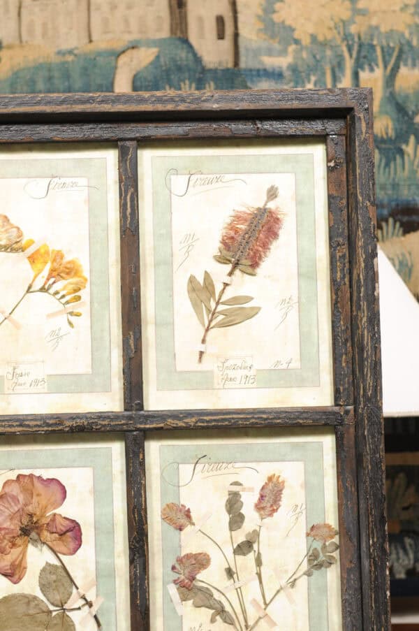Set of 4 Large Framed French Botanical Collections. PRICED PER PAIR. - Image 8