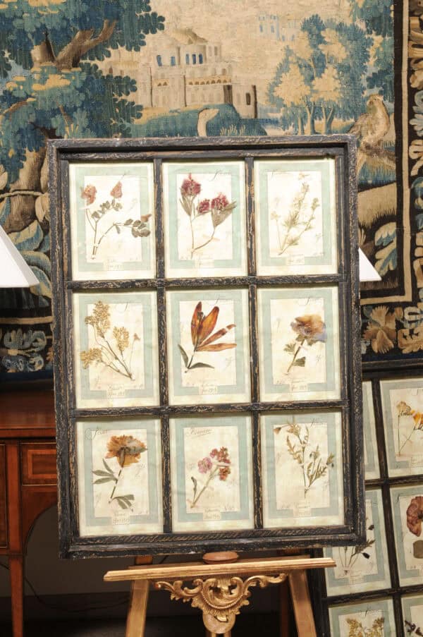Set of 4 Large Framed French Botanical Collections. PRICED PER PAIR. - Image 10