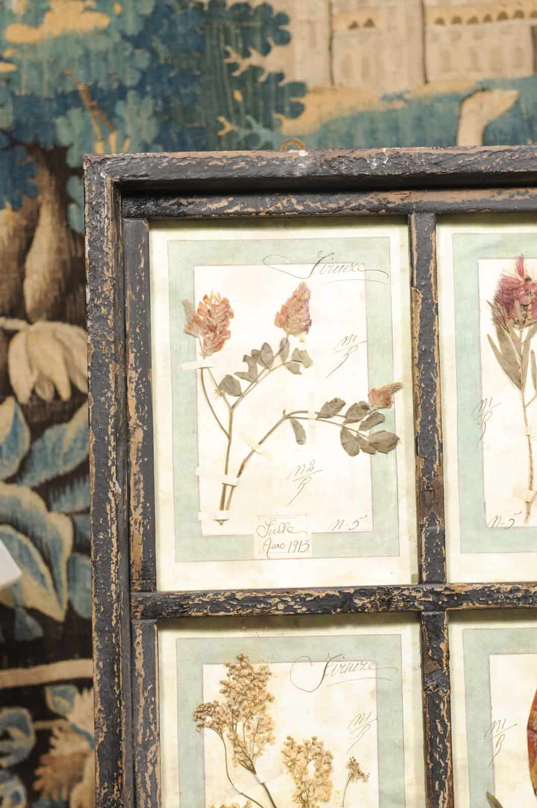 Set of 4 Large Framed French Botanical Collections. PRICED PER PAIR. - Image 12