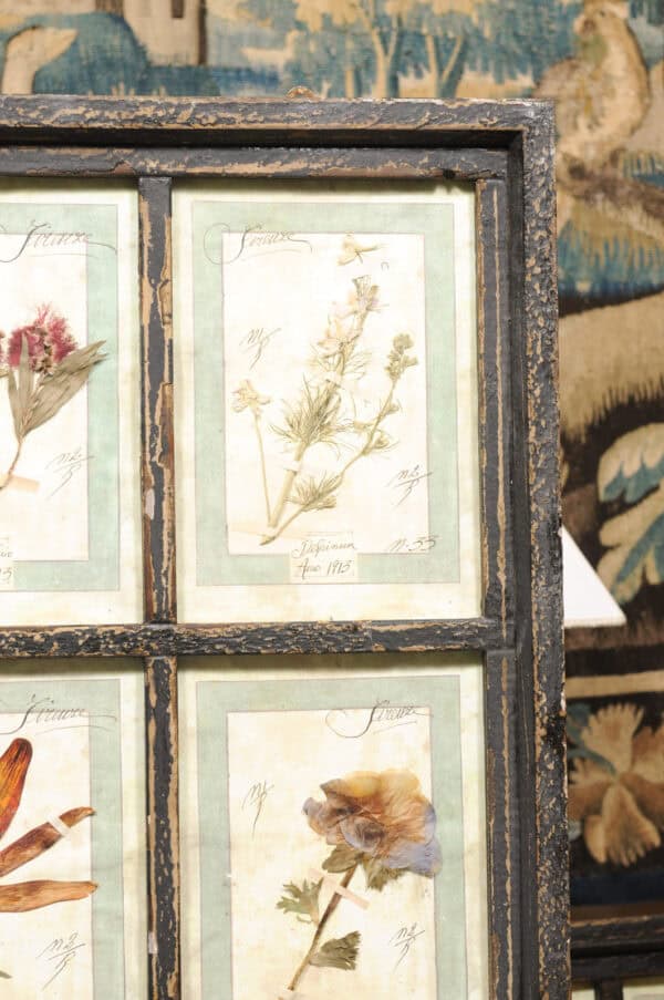 Set of 4 Large Framed French Botanical Collections. PRICED PER PAIR. - Image 13