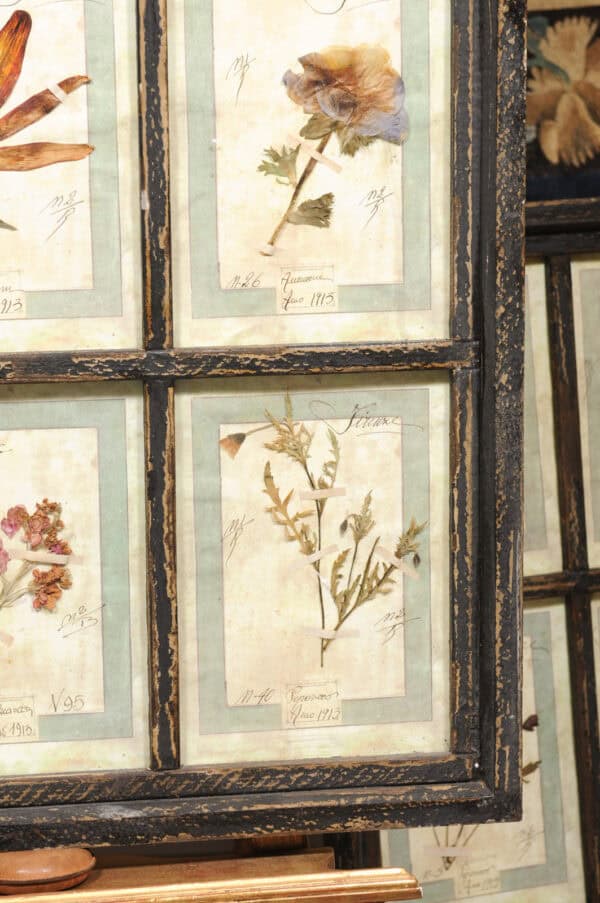 Set of 4 Large Framed French Botanical Collections. PRICED PER PAIR. - Image 14