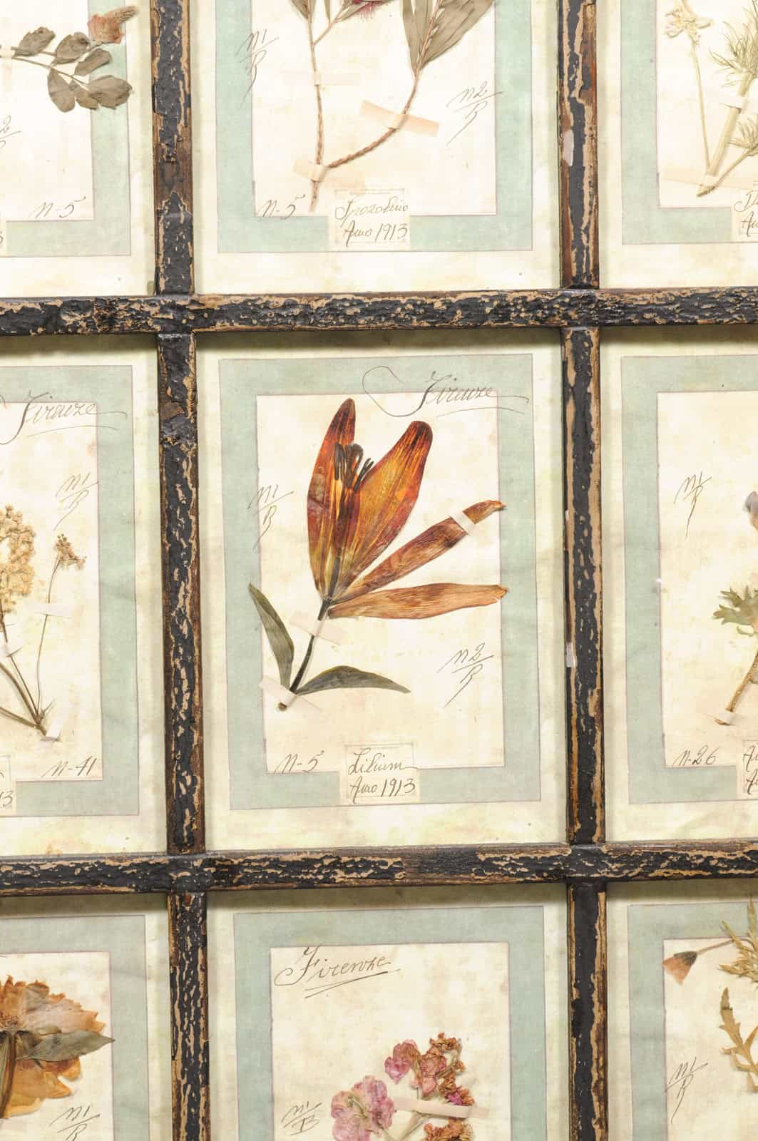 Set of 4 Large Framed French Botanical Collections. PRICED PER PAIR. - Image 15