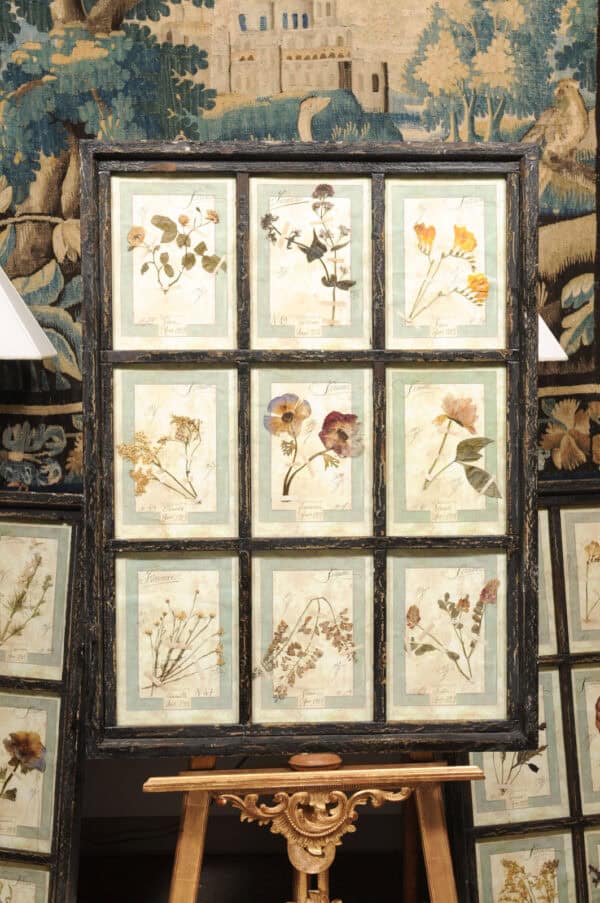 Set of 4 Large Framed French Botanical Collections. PRICED PER PAIR. - Image 16