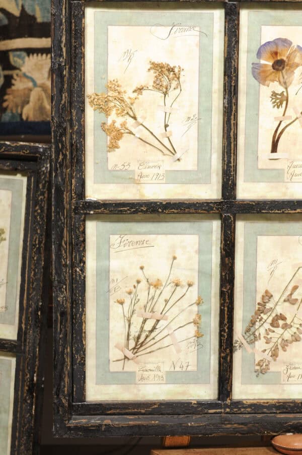 Set of 4 Large Framed French Botanical Collections. PRICED PER PAIR. - Image 18