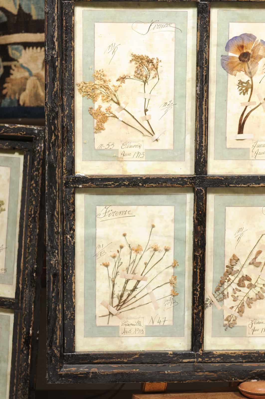 Set of 4 Large Framed French Botanical Collections. PRICED PER PAIR. - Image 18