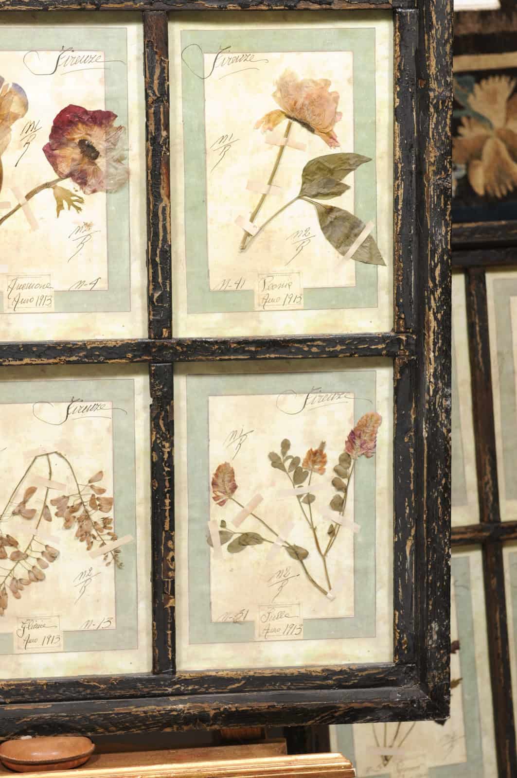 Set of 4 Large Framed French Botanical Collections. PRICED PER PAIR. - Image 19