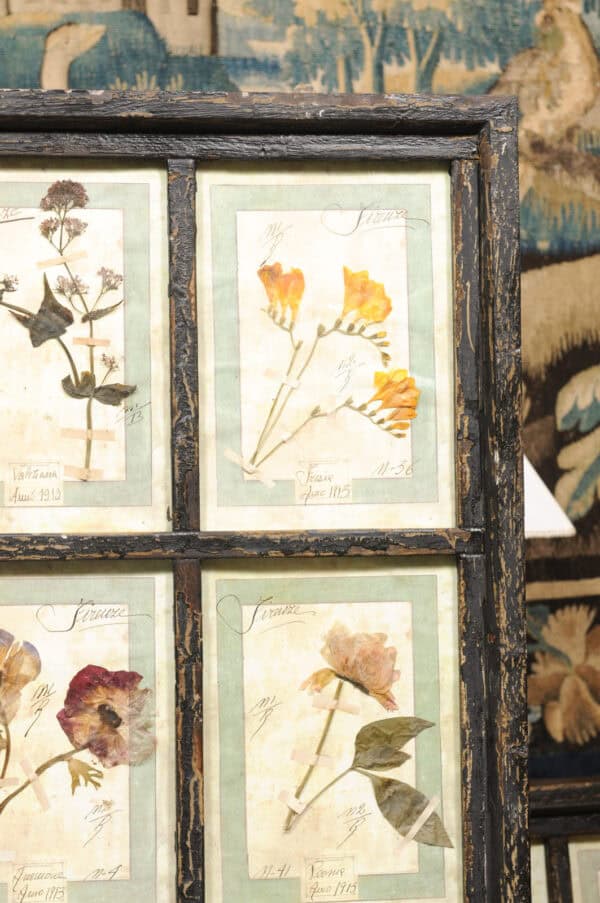 Set of 4 Large Framed French Botanical Collections. PRICED PER PAIR. - Image 20