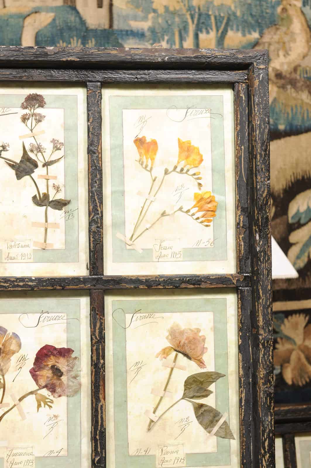 Set of 4 Large Framed French Botanical Collections. PRICED PER PAIR. - Image 20
