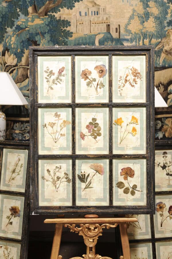 Set of 4 Large Framed French Botanical Collections. PRICED PER PAIR. - Image 22