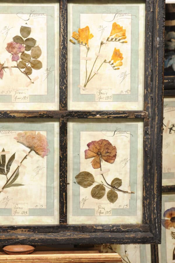 Set of 4 Large Framed French Botanical Collections. PRICED PER PAIR. - Image 25