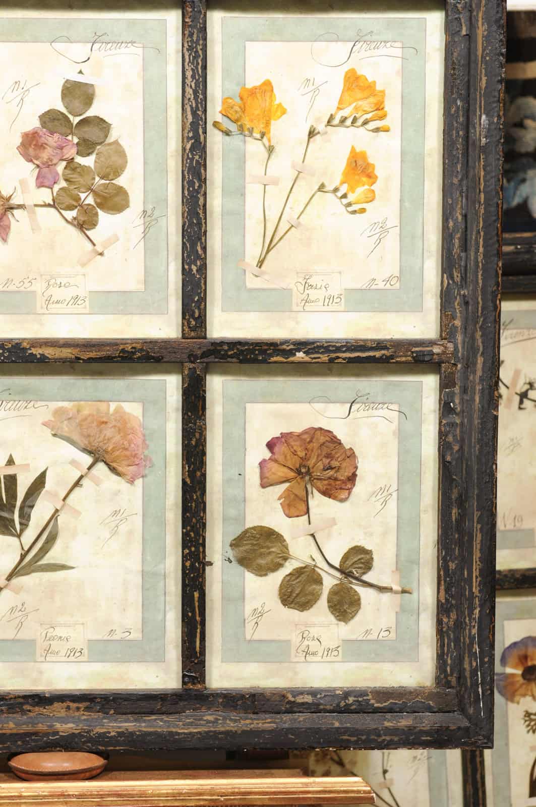 Set of 4 Large Framed French Botanical Collections. PRICED PER PAIR. - Image 25