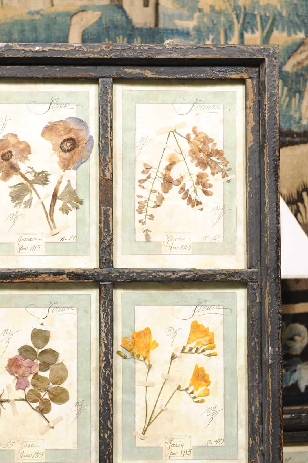 Set of 4 Large Framed French Botanical Collections. PRICED PER PAIR. - Image 26