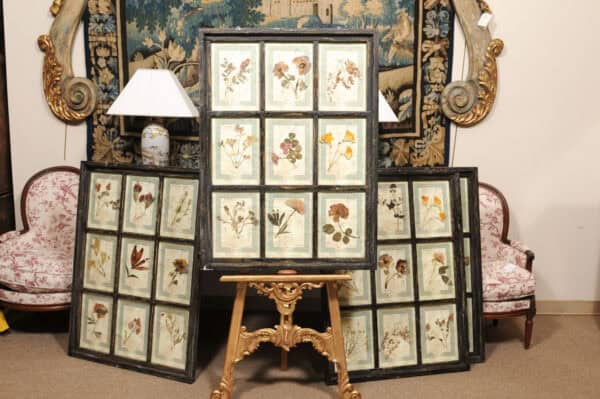 Set of 4 Large Framed French Botanical Collections. PRICED PER PAIR. - Image 28