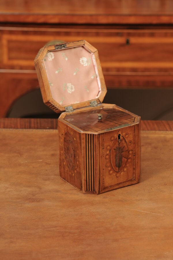 18th Century English Inlaid Single Tea Caddy - Image 5
