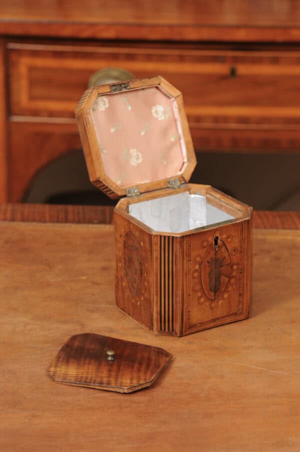 18th Century English Inlaid Single Tea Caddy - Image 6