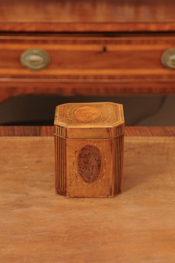 18th Century English Inlaid Single Tea Caddy - Image 8