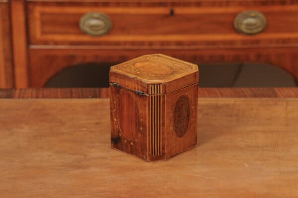 18th Century English Inlaid Single Tea Caddy - Image 9