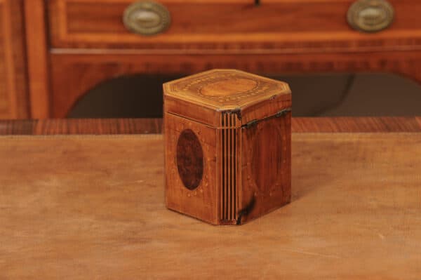 18th Century English Inlaid Single Tea Caddy - Image 11
