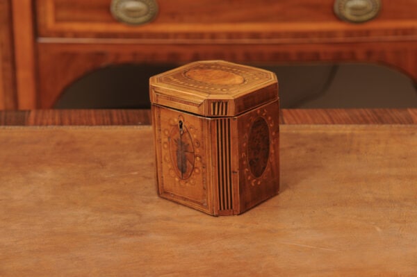 18th Century English Inlaid Single Tea Caddy - Image 13