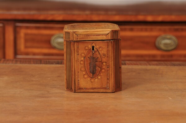 18th Century English Inlaid Single Tea Caddy - Image 14