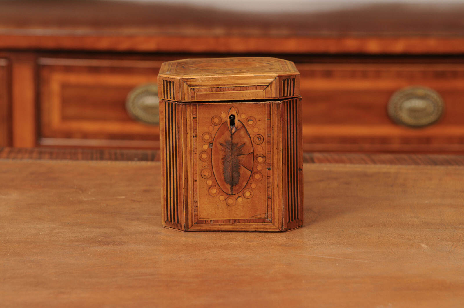 18th Century English Inlaid Single Tea Caddy - Image 14