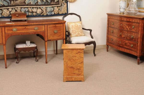 19th Century French Charles X Burled Elm Bedside Cabinet - Image 7