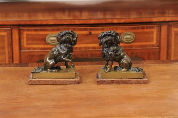 Pair of Cast Bronze Figures Of Dogs (Poodles) on Wooden Bases, 19th Century, France - Image 3