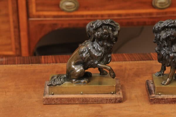 Pair of Cast Bronze Figures Of Dogs (Poodles) on Wooden Bases, 19th Century, France - Image 5