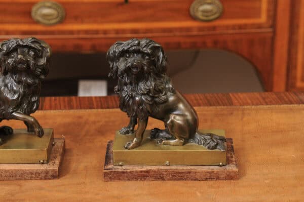 Pair of Cast Bronze Figures Of Dogs (Poodles) on Wooden Bases, 19th Century, France - Image 6