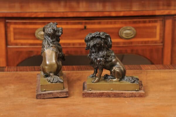 Pair of Cast Bronze Figures Of Dogs (Poodles) on Wooden Bases, 19th Century, France - Image 7