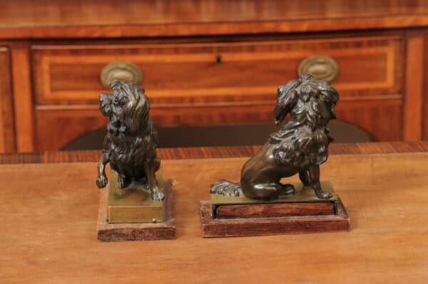 Pair of Cast Bronze Figures Of Dogs (Poodles) on Wooden Bases, 19th Century, France - Image 9