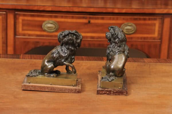 Pair of Cast Bronze Figures Of Dogs (Poodles) on Wooden Bases, 19th Century, France - Image 10