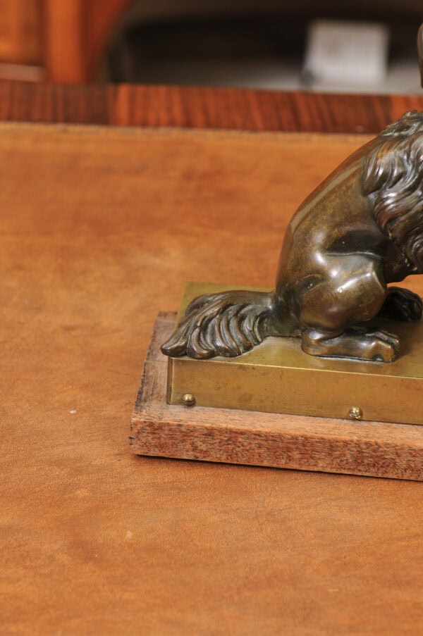 Pair of Cast Bronze Figures Of Dogs (Poodles) on Wooden Bases, 19th Century, France - Image 11