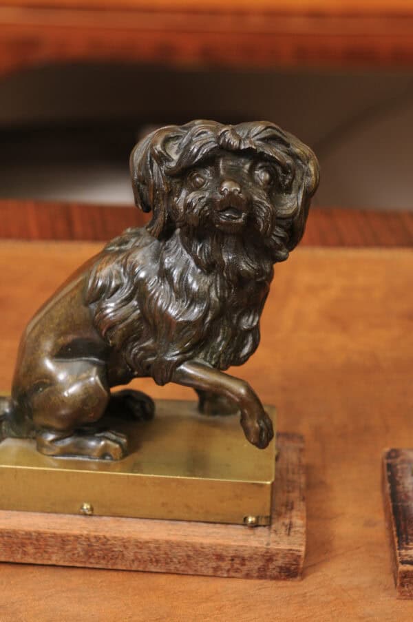 Pair of Cast Bronze Figures Of Dogs (Poodles) on Wooden Bases, 19th Century, France - Image 12