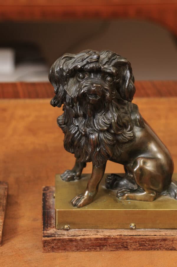 Pair of Cast Bronze Figures Of Dogs (Poodles) on Wooden Bases, 19th Century, France - Image 13