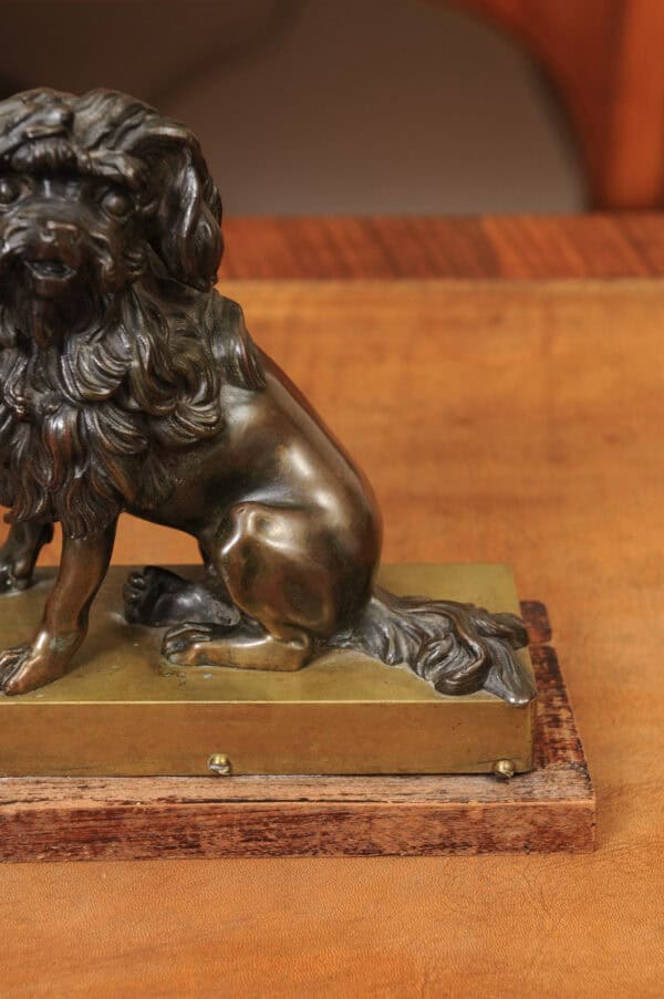 Pair of Cast Bronze Figures Of Dogs (Poodles) on Wooden Bases, 19th Century, France - Image 14