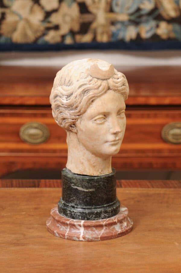 Classical Marble Bust of  Goddes  Diana Mounted on Marble Base, 19th Century, Italy - Image 3