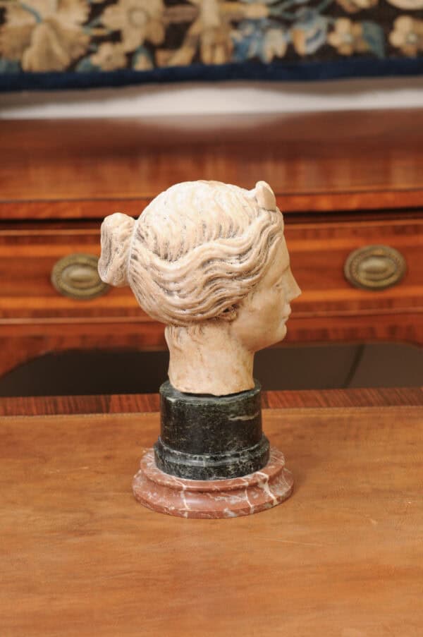 Classical Marble Bust of  Goddes  Diana Mounted on Marble Base, 19th Century, Italy - Image 5