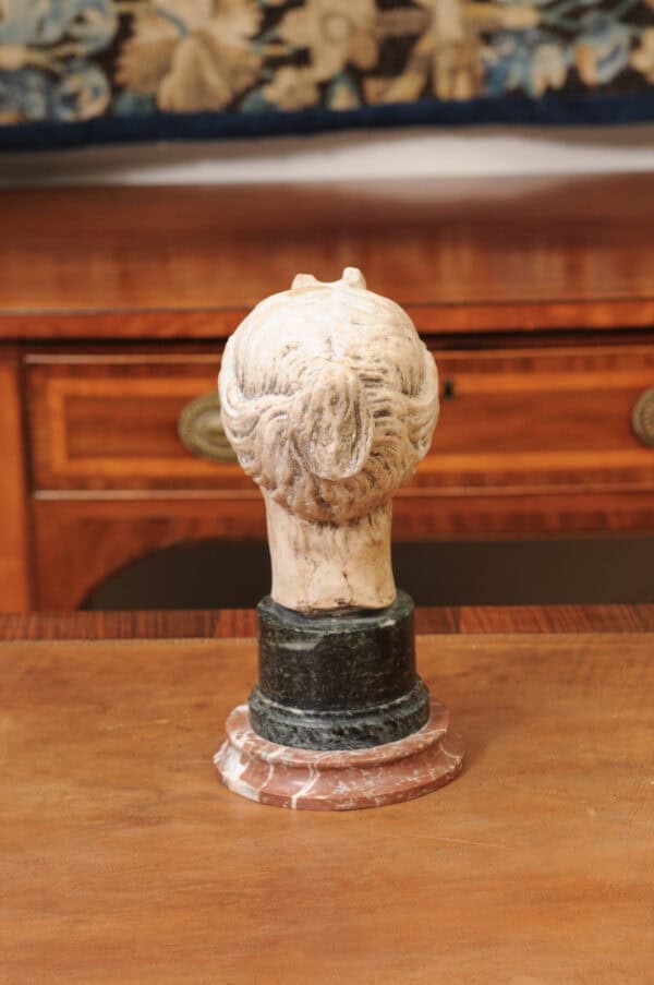 Classical Marble Bust of  Goddes  Diana Mounted on Marble Base, 19th Century, Italy - Image 7