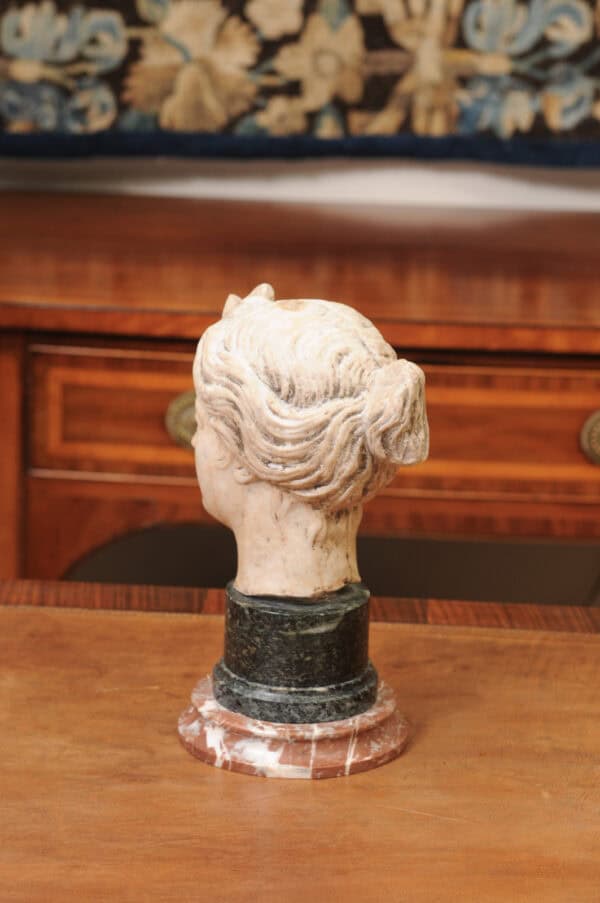 Classical Marble Bust of  Goddes  Diana Mounted on Marble Base, 19th Century, Italy - Image 8