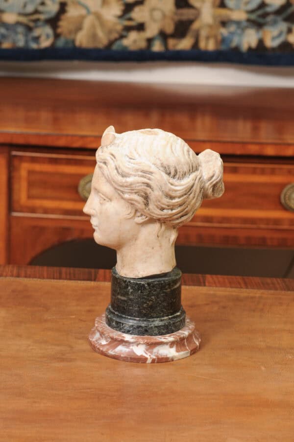 Classical Marble Bust of  Goddes  Diana Mounted on Marble Base, 19th Century, Italy - Image 9