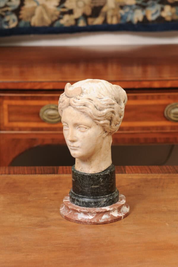 Classical Marble Bust of  Goddes  Diana Mounted on Marble Base, 19th Century, Italy - Image 10