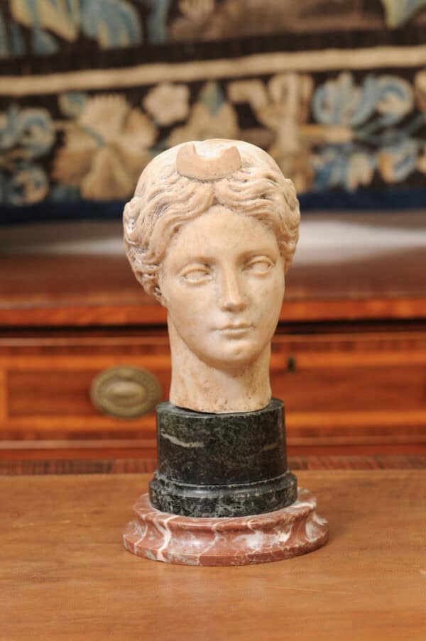 Classical Marble Bust of  Goddes  Diana Mounted on Marble Base, 19th Century, Italy - Image 11